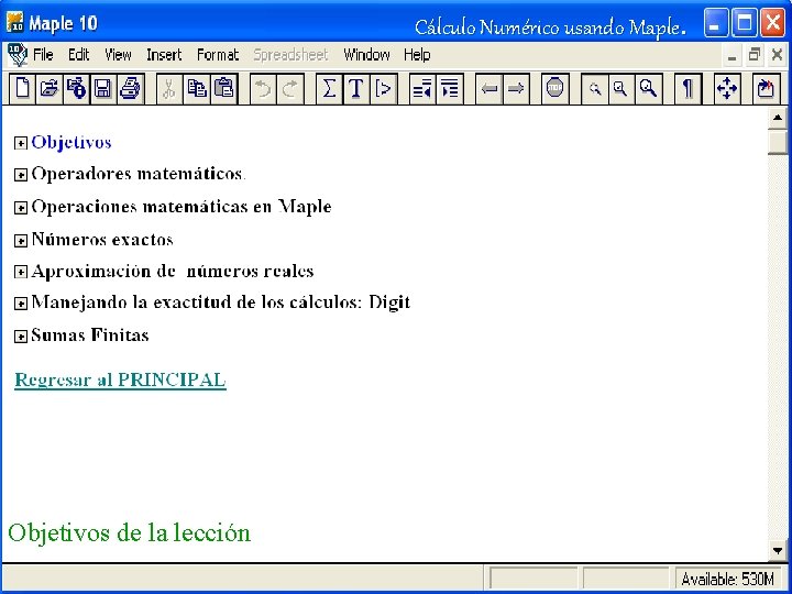 Cálculo Numérico usando Maple. Objetivos de la lección 