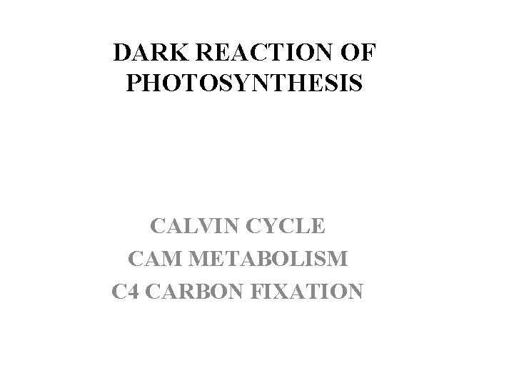DARK REACTION OF PHOTOSYNTHESIS CALVIN CYCLE CAM METABOLISM C 4 CARBON FIXATION 