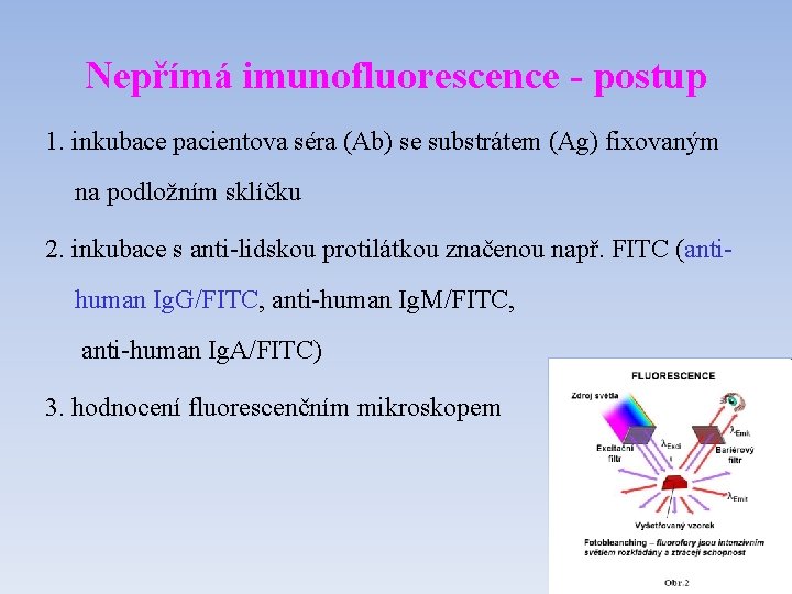 Nepřímá imunofluorescence - postup 1. inkubace pacientova séra (Ab) se substrátem (Ag) fixovaným na