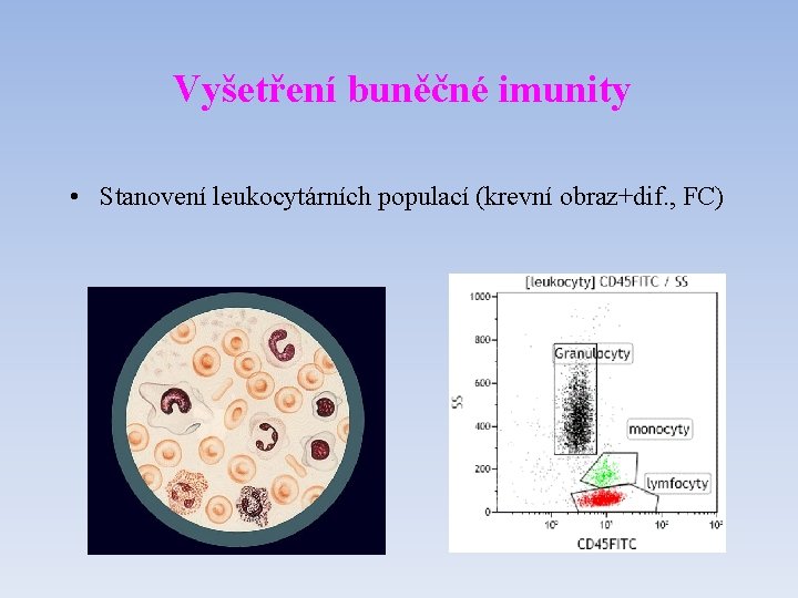 Vyšetření buněčné imunity • Stanovení leukocytárních populací (krevní obraz+dif. , FC) 