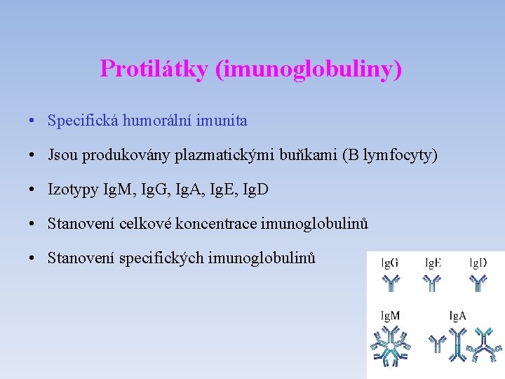 Protilátky (imunoglobuliny) • Specifická humorální imunita • Jsou produkovány plazmatickými buňkami (B lymfocyty) •