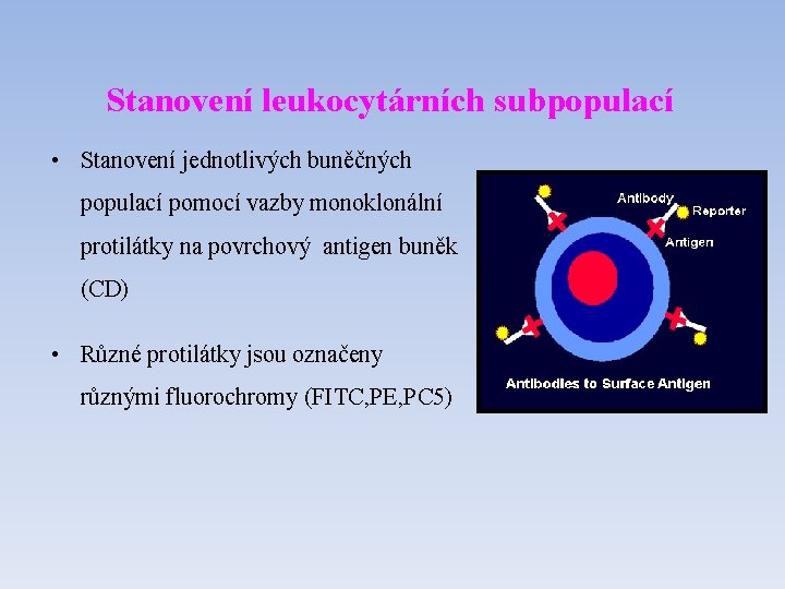 Stanovení leukocytárních subpopulací • Stanovení jednotlivých buněčných populací pomocí vazby monoklonální protilátky na povrchový