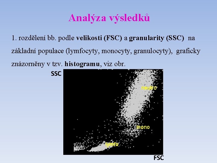 Analýza výsledků 1. rozdělení bb. podle velikosti (FSC) a granularity (SSC) na základní populace