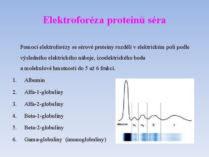 Elektroforéza proteinů séra Pomocí elektroforézy se sérové proteiny rozdělí v elektrickém poli podle výsledného