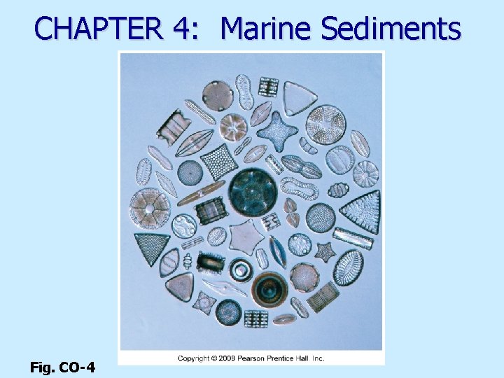 CHAPTER 4: Marine Sediments Fig. CO-4 