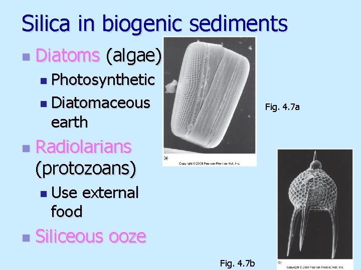 Silica in biogenic sediments n Diatoms (algae) n Photosynthetic n Diatomaceous Fig. 4. 7