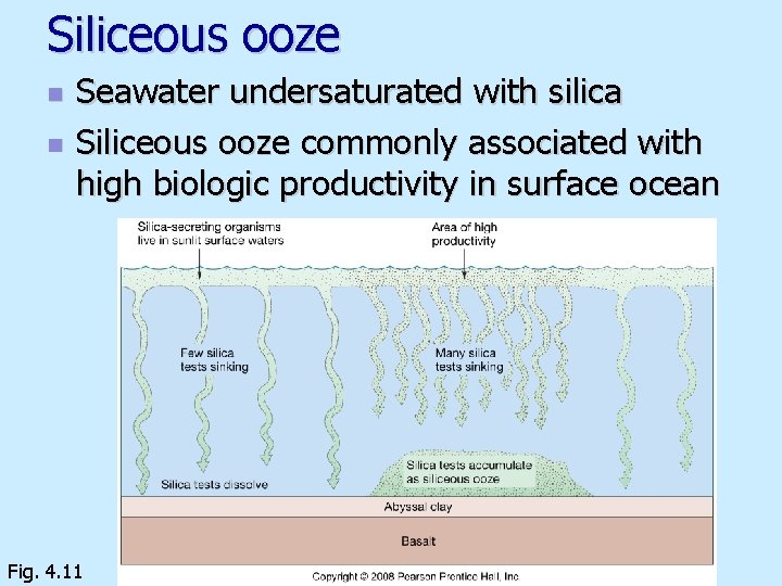 Siliceous ooze n n Seawater undersaturated with silica Siliceous ooze commonly associated with high