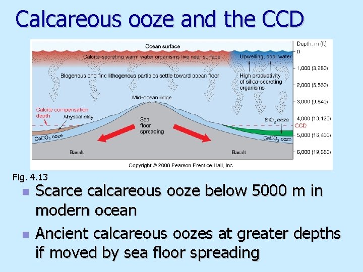 Calcareous ooze and the CCD Fig. 4. 13 n n Scarce calcareous ooze below
