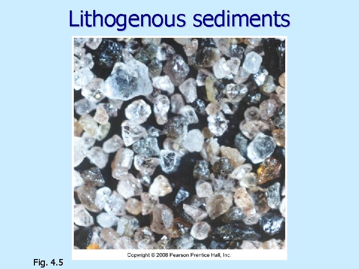 Lithogenous sediments Fig. 4. 5 