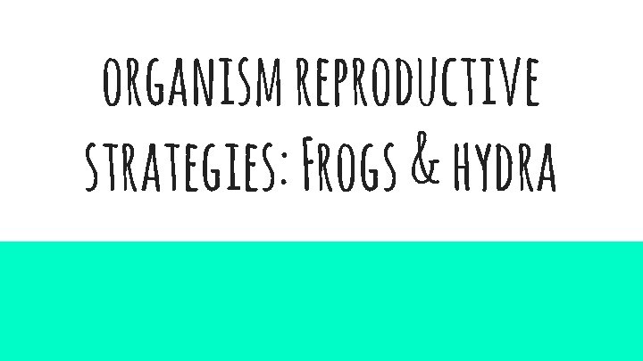 organism reproductive strategies: Frogs & hydra 