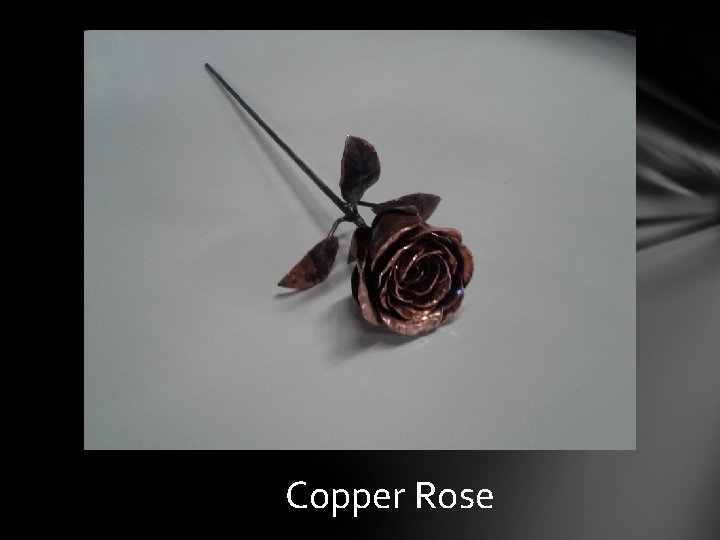 Copper Rose 