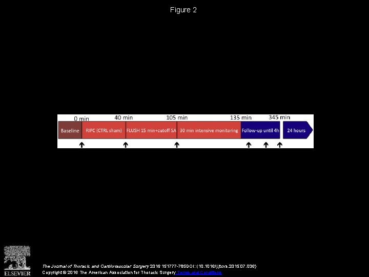 Figure 2 The Journal of Thoracic and Cardiovascular Surgery 2016 151777 -785 DOI: (10.