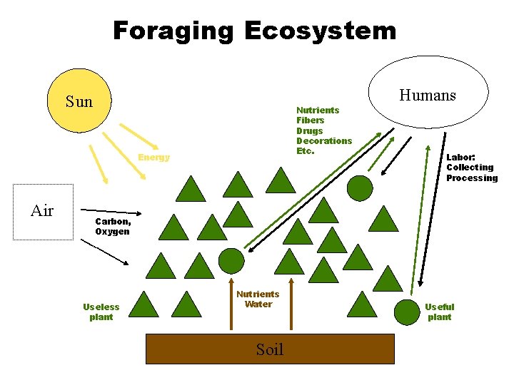 Foraging Ecosystem Sun Nutrients Fibers Drugs Decorations Etc. Energy Air Humans Labor: Collecting Processing