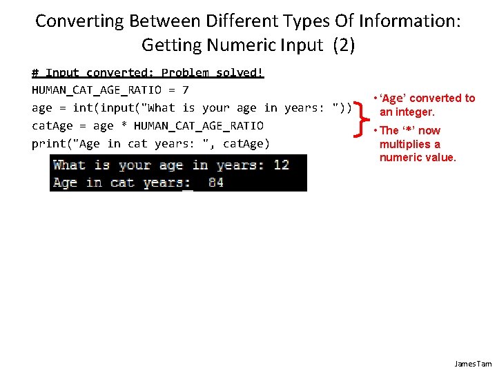 Converting Between Different Types Of Information: Getting Numeric Input (2) # Input converted: Problem