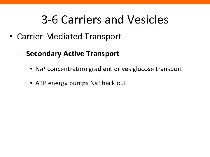 3 -6 Carriers and Vesicles • Carrier-Mediated Transport – Secondary Active Transport • Na+