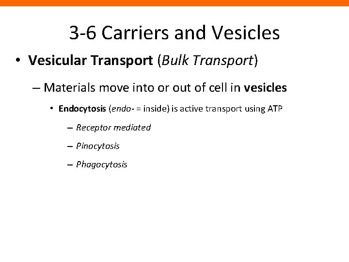 3 -6 Carriers and Vesicles • Vesicular Transport (Bulk Transport) – Materials move into