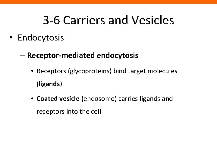 3 -6 Carriers and Vesicles • Endocytosis – Receptor-mediated endocytosis • Receptors (glycoproteins) bind