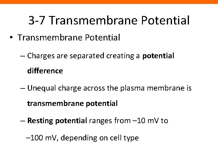 3 -7 Transmembrane Potential • Transmembrane Potential – Charges are separated creating a potential