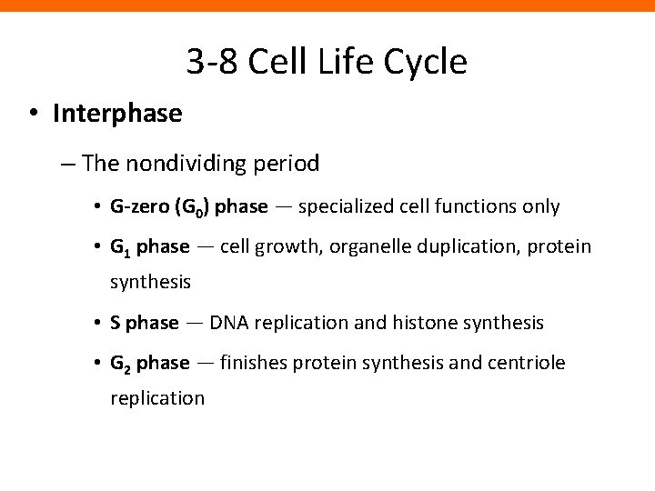 3 -8 Cell Life Cycle • Interphase – The nondividing period • G-zero (G