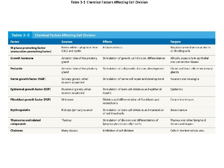 Table 3 -3 Chemical Factors Affecting Cell Division 