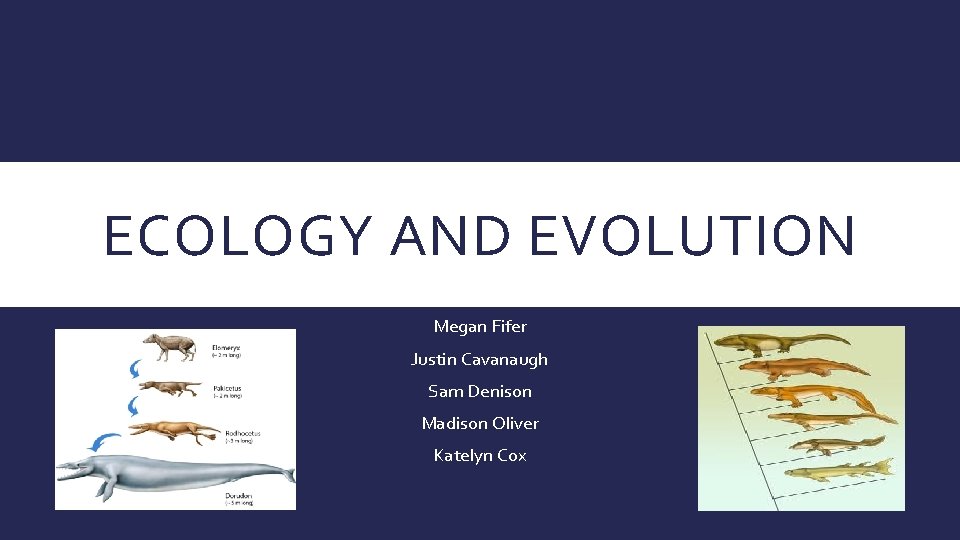 ECOLOGY AND EVOLUTION Megan Fifer Justin Cavanaugh Sam Denison Madison Oliver Katelyn Cox 
