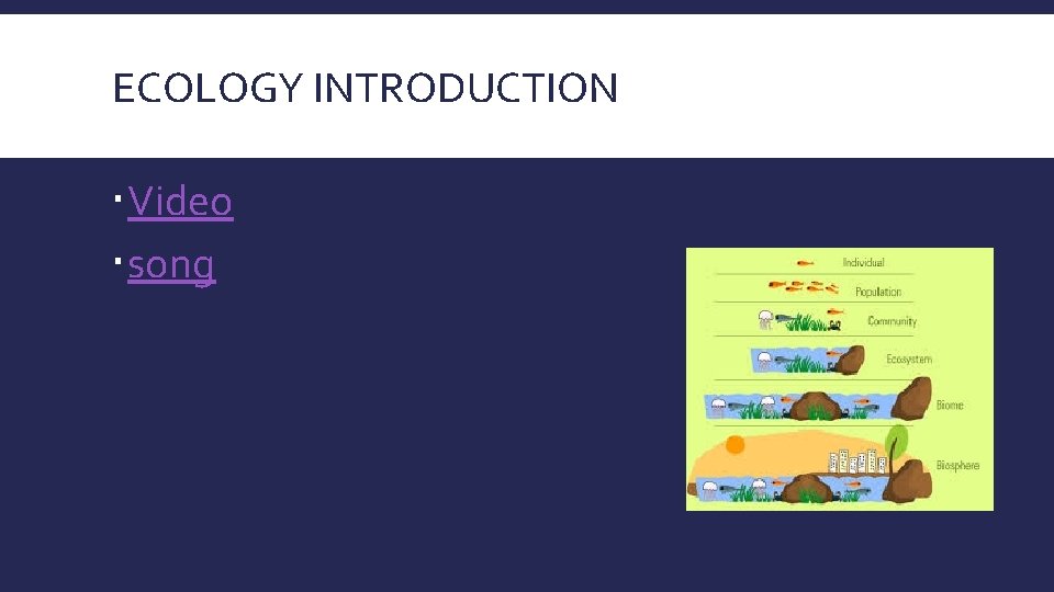 ECOLOGY INTRODUCTION Video song 