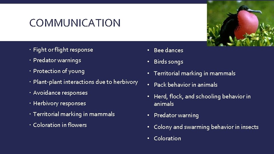 COMMUNICATION Fight or flight response • Bee dances Predator warnings • Birds songs Protection