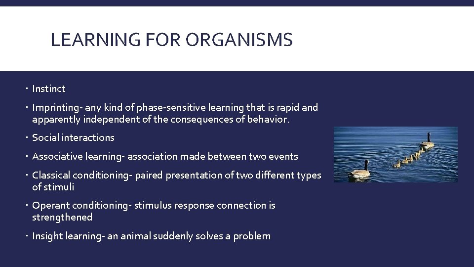 LEARNING FOR ORGANISMS Instinct Imprinting- any kind of phase-sensitive learning that is rapid and