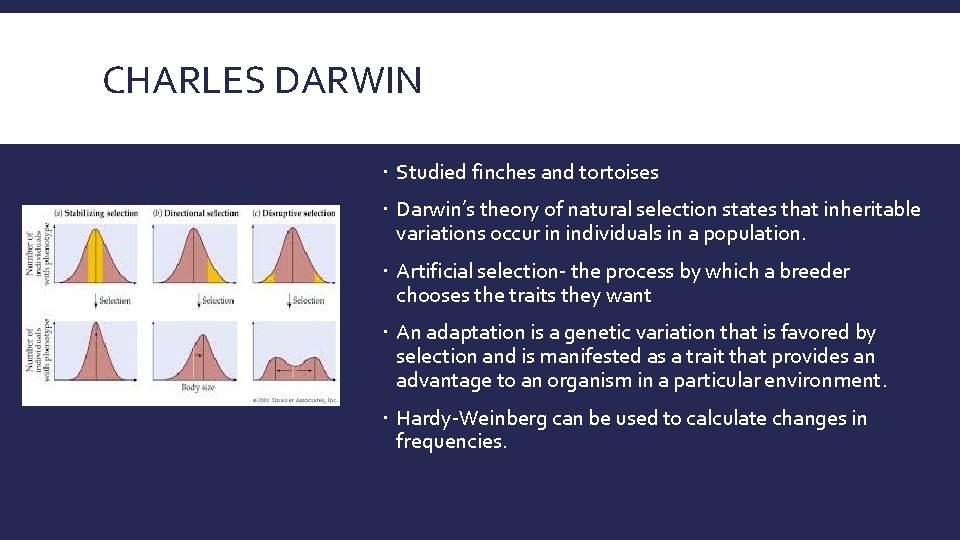 CHARLES DARWIN Studied finches and tortoises Darwin’s theory of natural selection states that inheritable