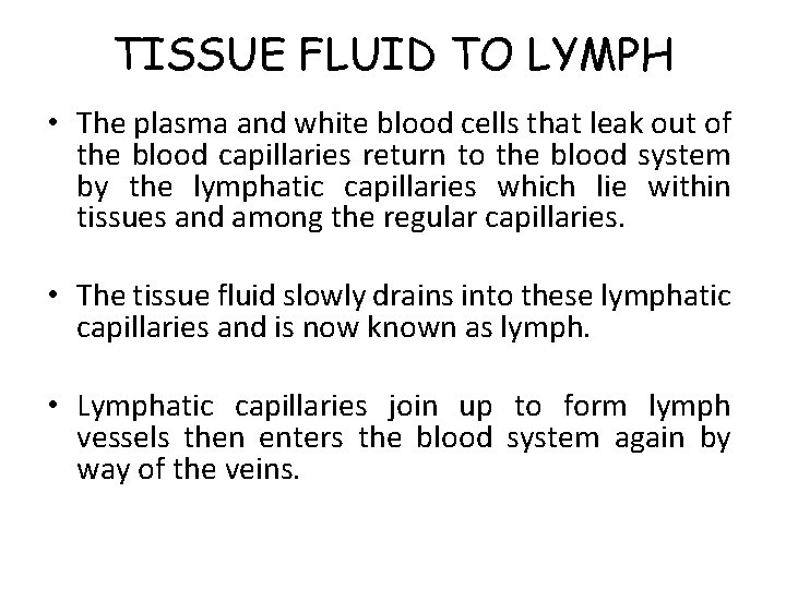 TISSUE FLUID TO LYMPH • The plasma and white blood cells that leak out