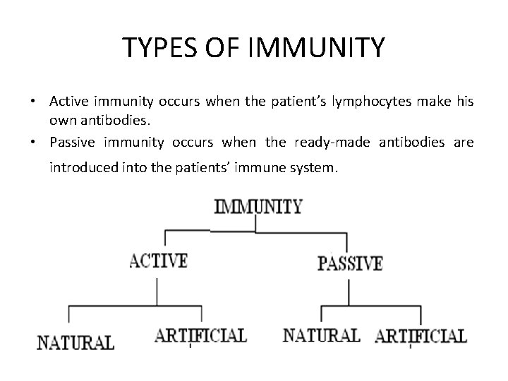TYPES OF IMMUNITY • Active immunity occurs when the patient’s lymphocytes make his own