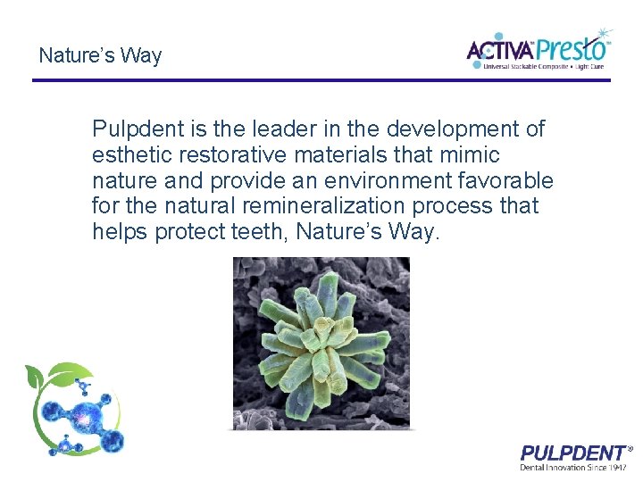 Nature’s Way Pulpdent is the leader in the development of esthetic restorative materials that