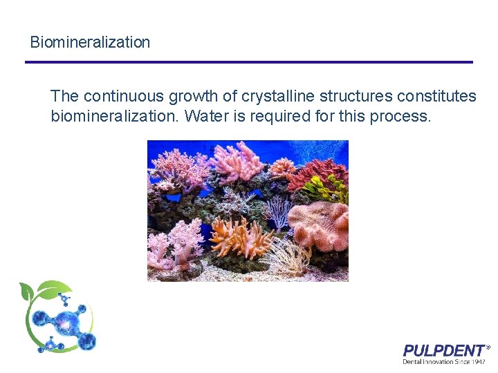 Biomineralization The continuous growth of crystalline structures constitutes biomineralization. Water is required for this