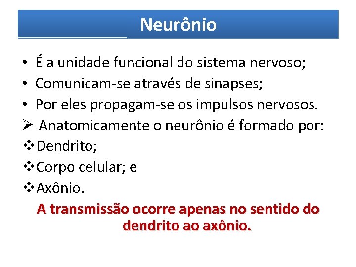 REVISANDO O SISTEMA NERVOSO Prof Lianne Clarissa Sistema