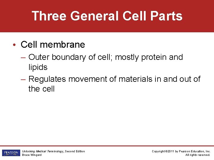 Three General Cell Parts • Cell membrane – Outer boundary of cell; mostly protein