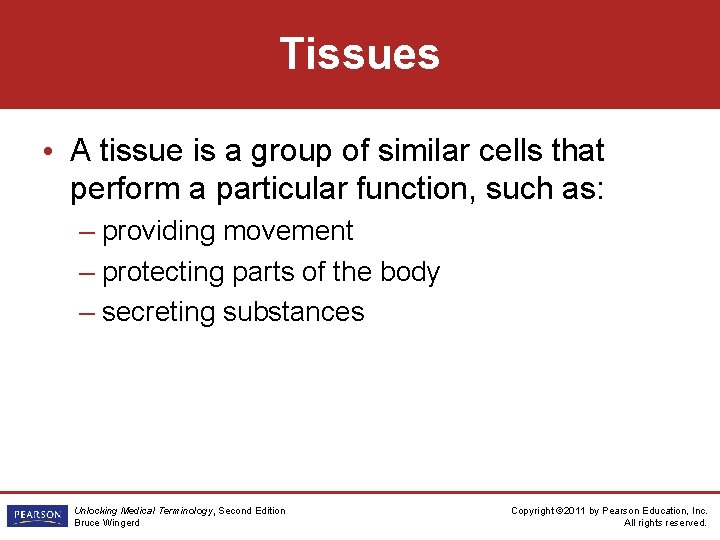 Tissues • A tissue is a group of similar cells that perform a particular