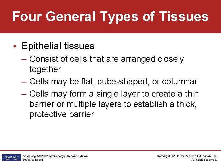 Four General Types of Tissues • Epithelial tissues – Consist of cells that are