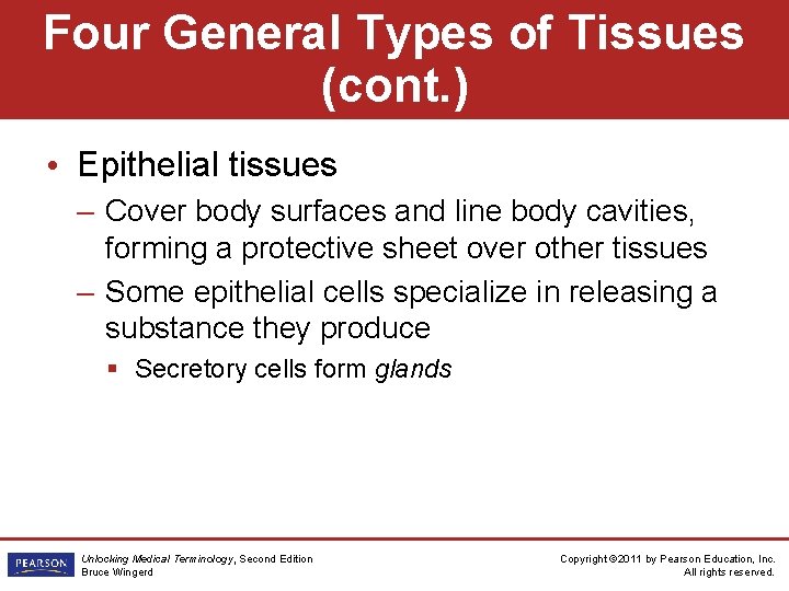 Four General Types of Tissues (cont. ) • Epithelial tissues – Cover body surfaces