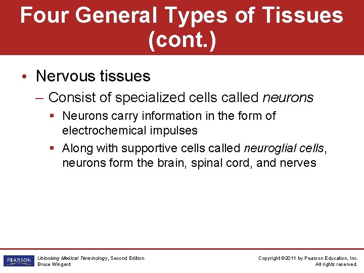 Four General Types of Tissues (cont. ) • Nervous tissues – Consist of specialized
