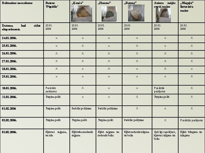 Baltmaizes nosaukums Datums, kad eksperiments. sākts Batons ‘Pūpēdis’ „Ķeņča” „Hanzas” „Batons” Autora mājās ceptā