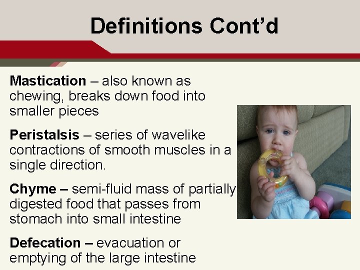 Definitions Cont’d Mastication – also known as chewing, breaks down food into smaller pieces