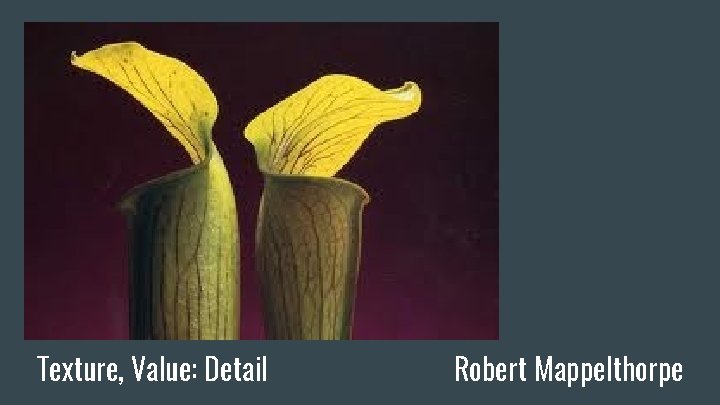 Texture, Value: Detail Robert Mappelthorpe 
