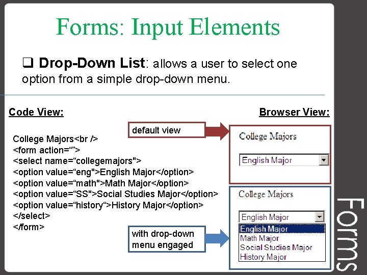 Forms: Input Elements q Drop-Down List: allows a user to select one option from