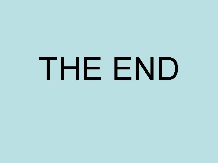 THE END 