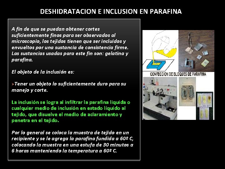 DESHIDRATACION E INCLUSION EN PARAFINA A fin de que se puedan obtener cortes suficientemente