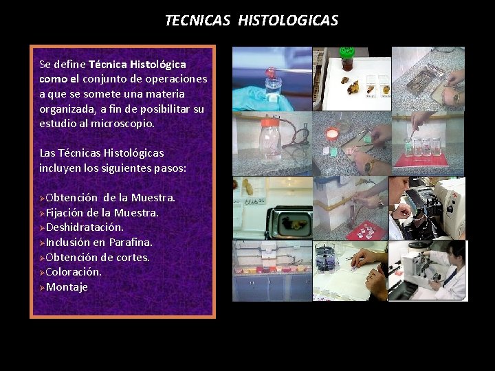 TECNICAS HISTOLOGICAS Se define Técnica Histológica como el conjunto de operaciones a que se
