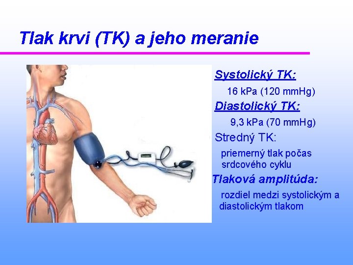 Tlak krvi (TK) a jeho meranie Systolický TK: 16 k. Pa (120 mm. Hg)