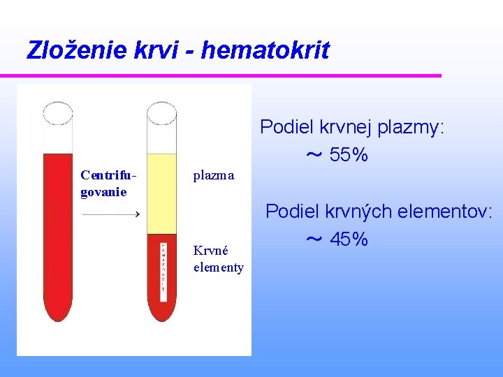 Zloženie krvi - hematokrit Podiel krvnej plazmy: 〜 55% Centrifugovanie plazma Krvné elementy Podiel