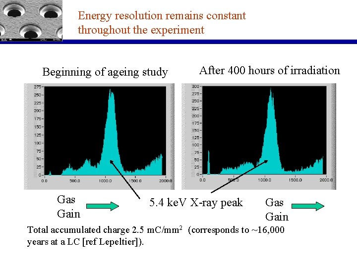 Energy resolution remains constant throughout the experiment Beginning of ageing study Gas Gain After