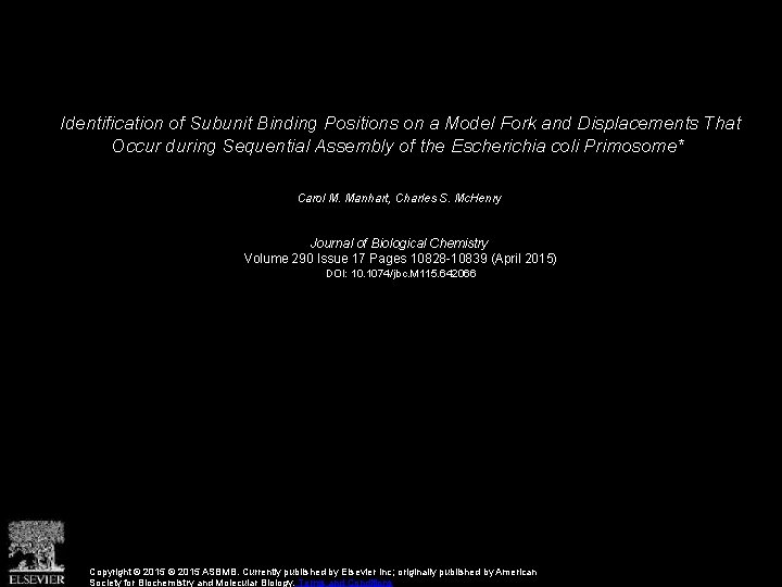Identification of Subunit Binding Positions on a Model Fork and Displacements That Occur during